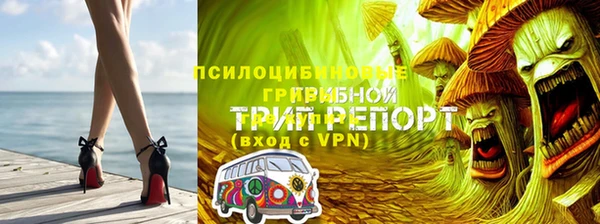 прущий лед Алексеевка